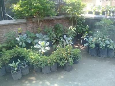 Photos of Kelurahan Kaliombo