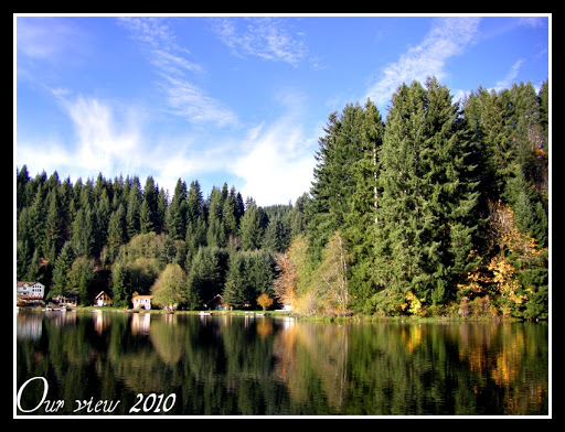Fishhawk Lake Real Estate - Gayle Rich-Boxman REALTOR John L. Scott Market Center