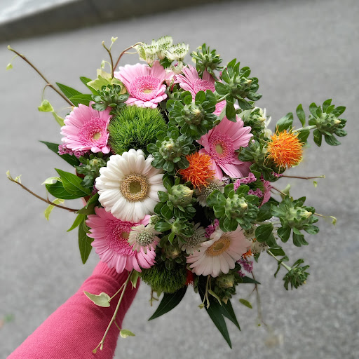 Manuela Piante E Fiori (fioreria Manuela) - Thumbnail
