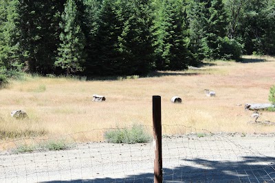 Steamboat Cemetery