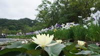 東郷湖羽合臨海公園