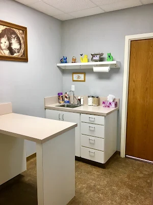 Arlington South Veterinary Hospital