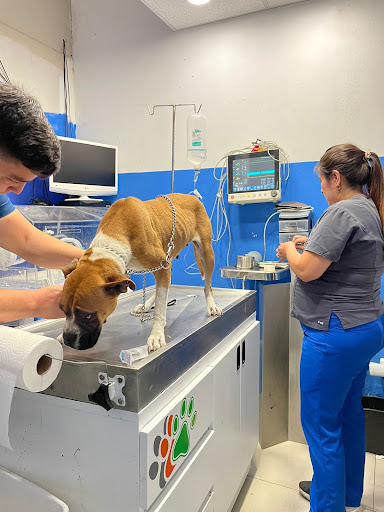 CIVET Clinica Integral Veterinaria