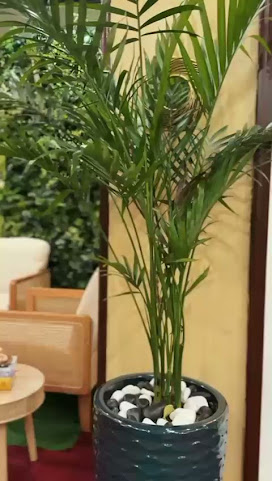 Royal Bengal Indian Cuisine by null