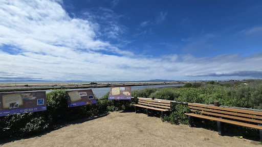 Bolsa Chica Conservancy - Thumbnail