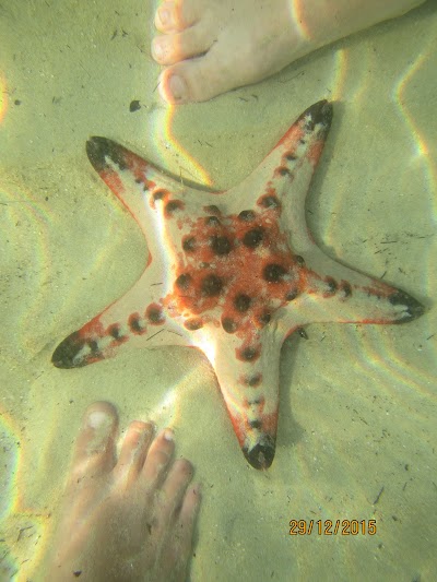 Photos of Eco Sea Dive