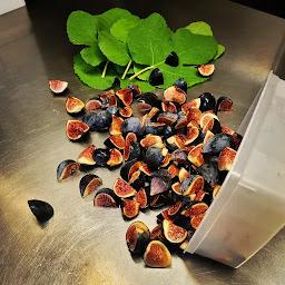 Photo n°18 de Restaurant Satine & Bodandy à Bordeaux (Restaurant français)