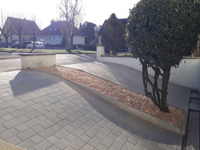 Comentarii opinii despre MIERU · Paysagiste