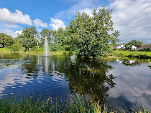 Vijver Borgerbrink-Asserbrink