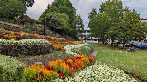 Laurie Hall Park - Thumbnail