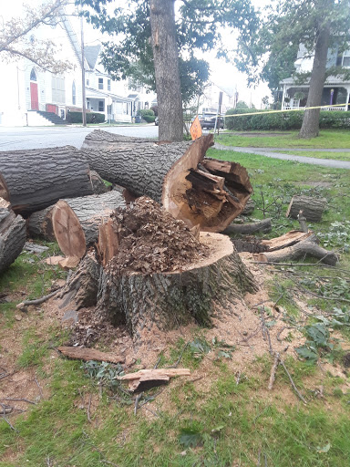 Mandak Tree Services - Visual
