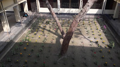 Photos of Narchi Bazar