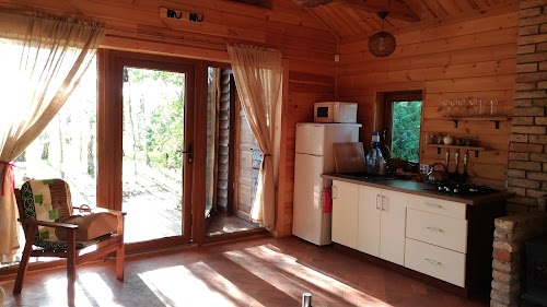 Cozy remote cabin on a lakeshore