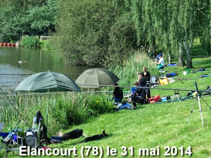 Photo n°17 de CLUB D EXTREME PECHE AU COUP à Contrexéville (Club de pêche)