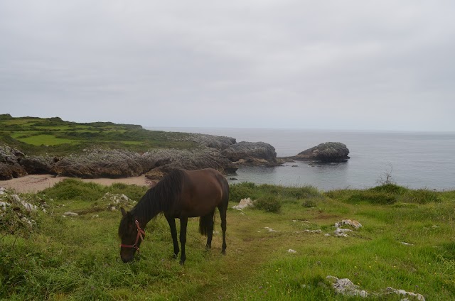 Playa de Gulpiyuri