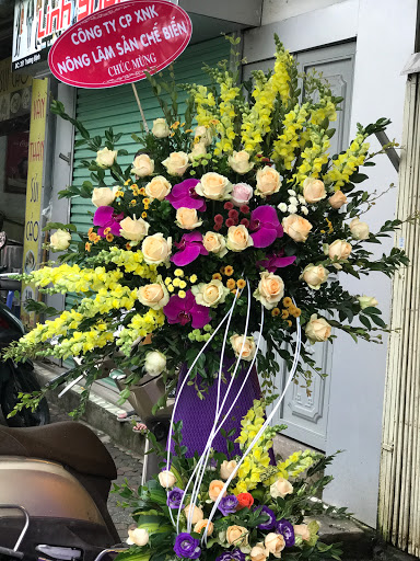 Cửa