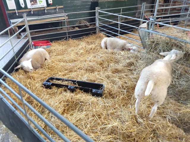 Court Farm Country Park