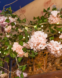 Photo n°15 de Café de l’Église à Paris (Restaurant végétarien)