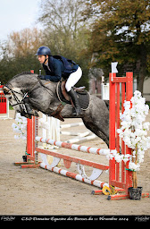 Photo n°9 de Ecurie du Rondeau à Rogny-les-Sept-Écluses (Centre équestre)