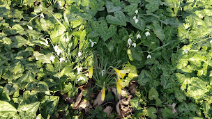 Photo n°9 de LA PETITE LONDE à Biéville-Beuville (Chambre d'hôtes)