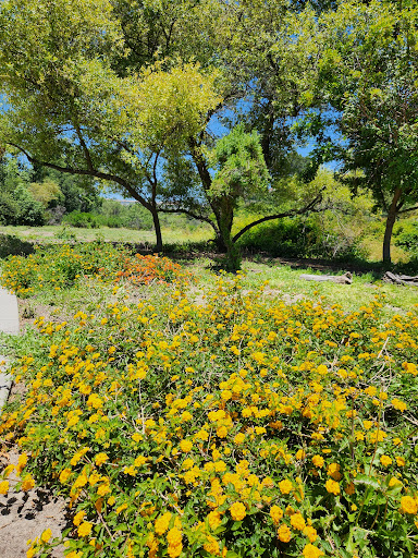 Pinecrest Park - Visual