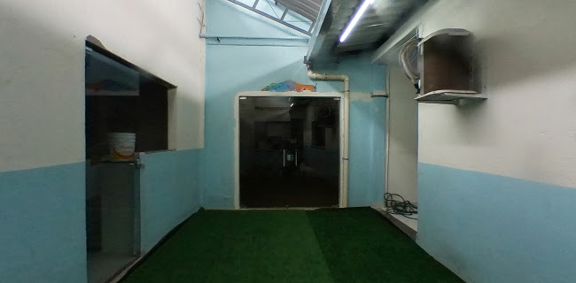Número de telefone de AngelPet Hospital Veterinário 24h