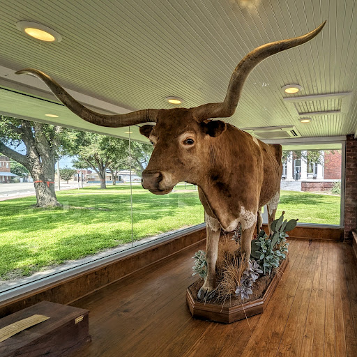 Live Oak County Courthouse - Thumbnail