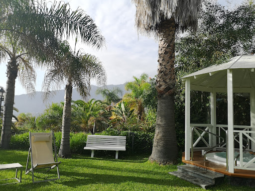 Apartamentos La Palma Jardin