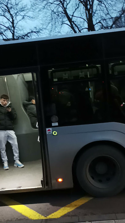 RATC Bus Station Constanta City Tour