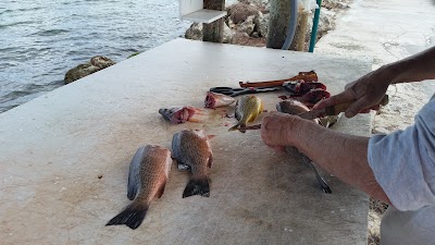 Photos of Jolly Roger RV Resort
