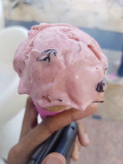Photos of Gelato Yogurtini
