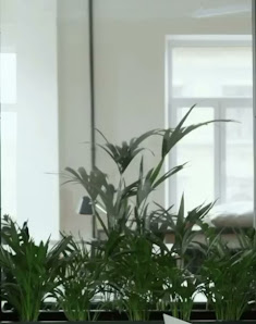 Sustainablejobs is een Duurzame Vacaturebank met in focus op Nederland, België en remote vacatures in Sustainability. 