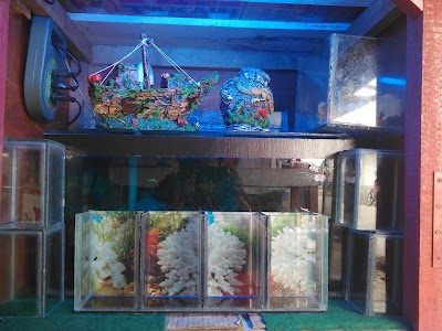 Photos of Tarutung Aquarium (Ricky Pakpahan)