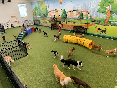 Bark City Doggy Daycare