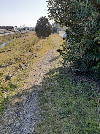 Passeggiata lungofiume - Thumbnail