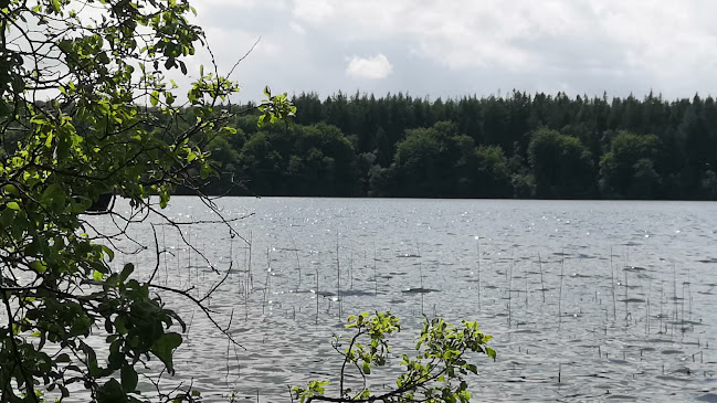 Anmeldelser af De Små Fisk i Silkeborg - Restaurant