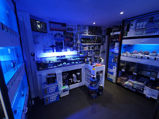 Reef Addiction Marine Aquatics - Thumbnail