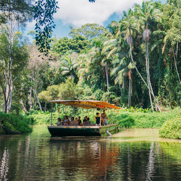 Tropical Fruit World by null