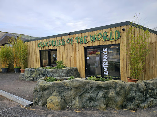 Crocodiles of the World