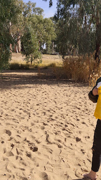 Apex RiverBeach Holiday Park by null