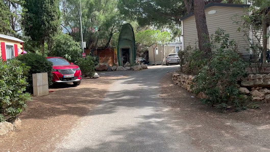 Imagen de la galería