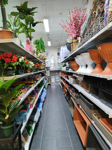 DMY store - Visual