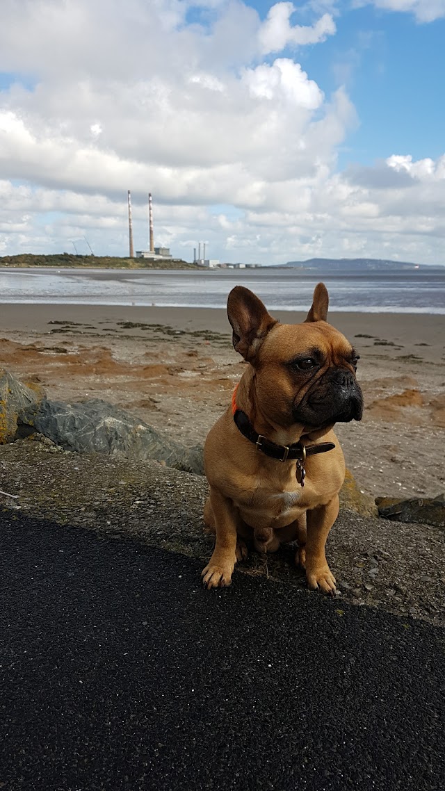 Sandymount Strand - Car Park 1