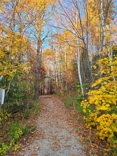 Stratham Hill Park - Thumbnail