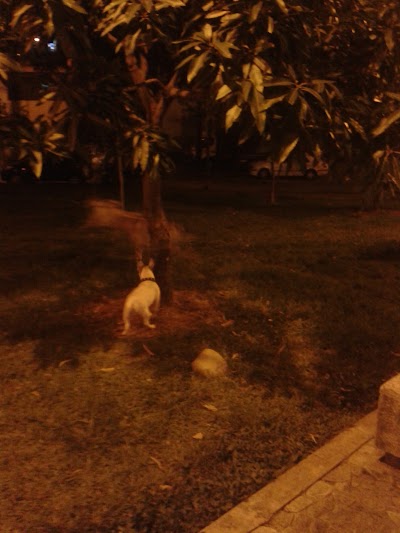 Photos of La Castellana Park