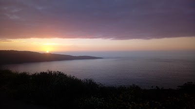Photos of Almacen El Sauce