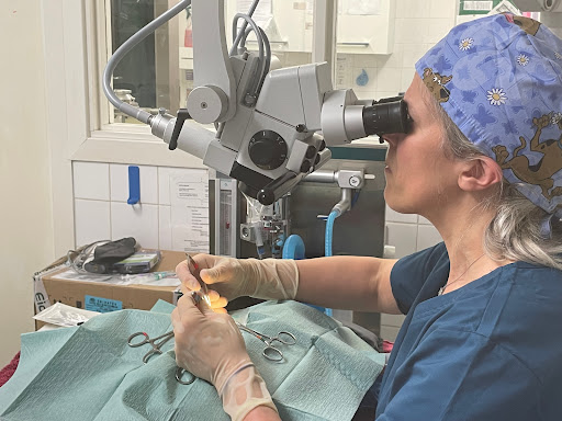 Eye Vetcare