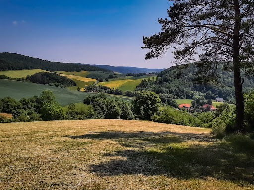 Gemeinde Schimberg - Visual