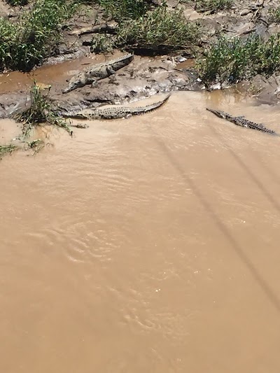 Photos of Crocodile Man Tour The Original