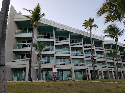 Photos of Drs. Ingber & Prestipino